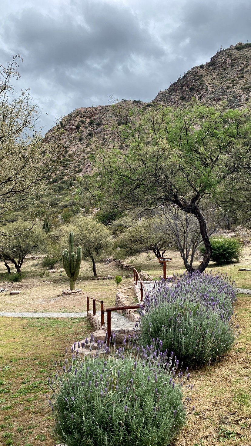 Inmersión en la naturaleza